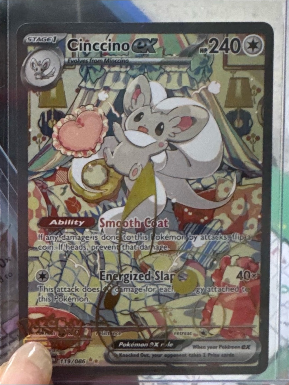 Cinccino ex SIR